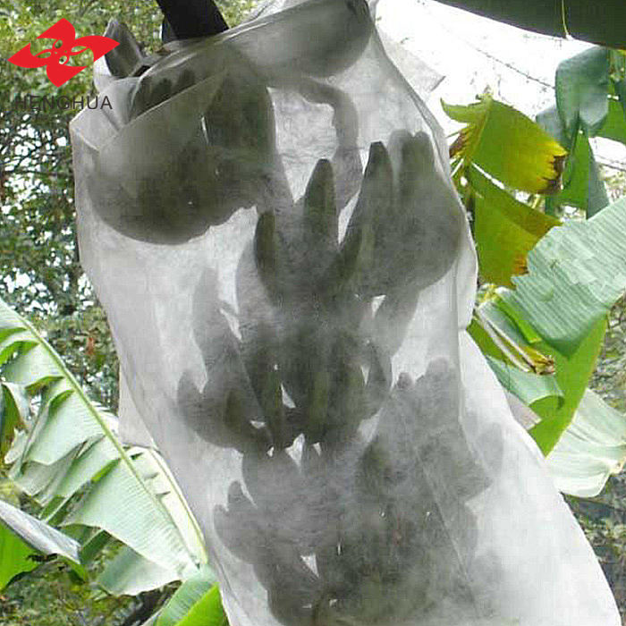 Tela no tejida spunbond de PP para agricultura | Tela resistente a los rayos UV para protección de cultivos y cobertura vegetal